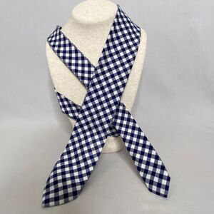 J Crew Mens Neck Tie Summer Cotton Gingham Plaid Navy And White